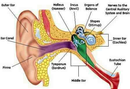 advanced feedback cancellation