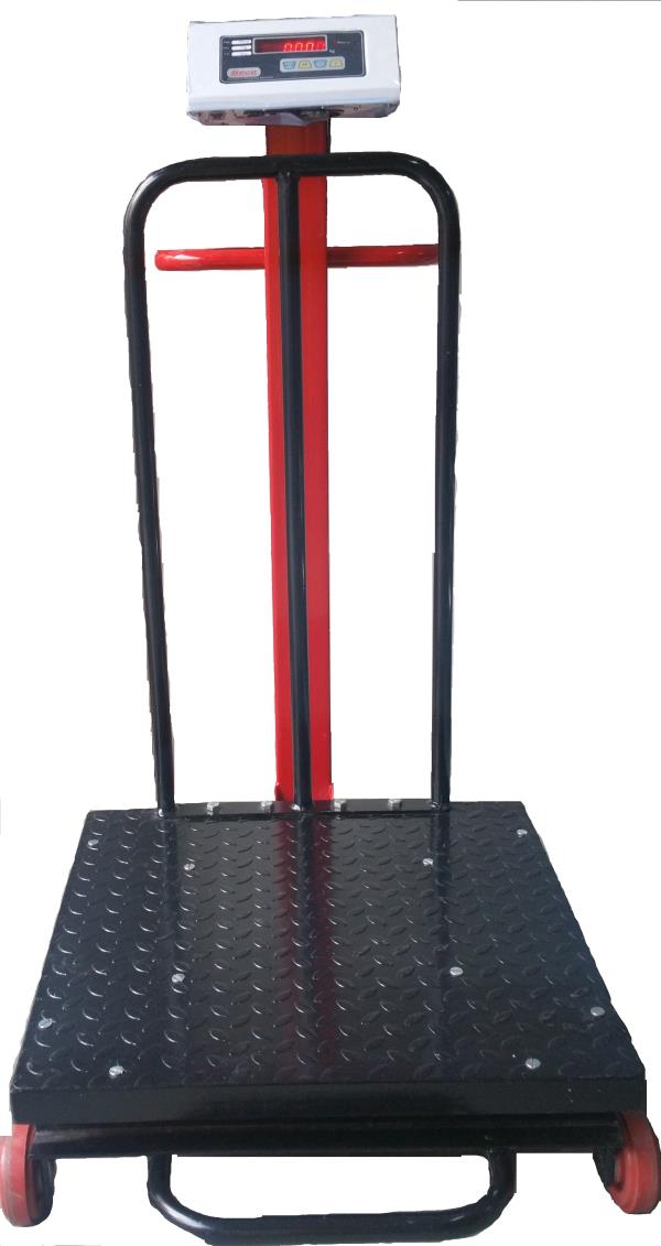 manufacturer of Weighing Scale