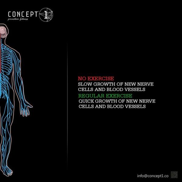 new nerve cells