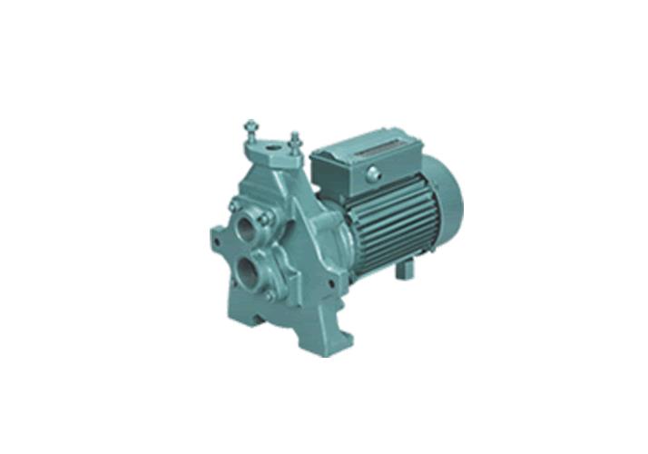 Centrifugal Jet Self Priming Pumps BP Serie Nessa Enterprises Pvt