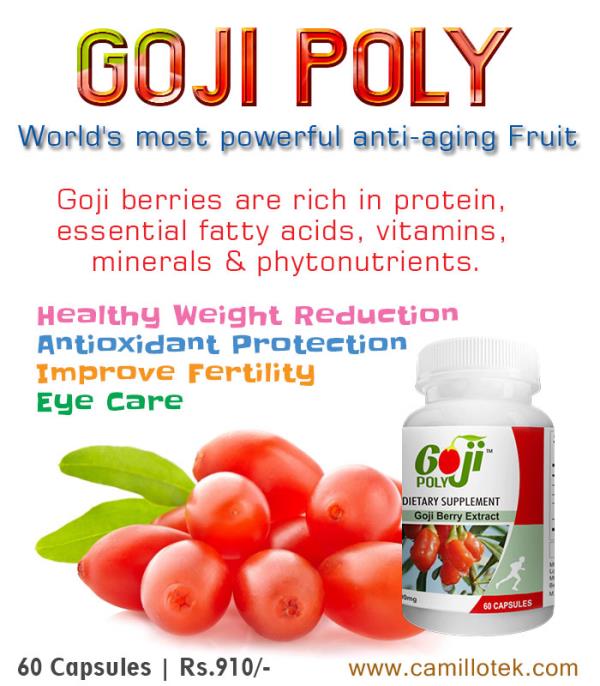 Goji berry is a natural source of lycopene and also the world's most powerful anti-aging fruit. Goji berries are rich in
essential fatty acids, phytonutrients, proteins, vitamins &
minerals. Goji supports healthy weight reduction in obese adults, antioxidant protection, improve fertility and eye care.
Goji tablets online, goji capsules online, goji fruit capsules, goji pills, goji supplements, goji for weight loss, goji for eye health, goji for sex and goji antioxidant capsules.
Goji Supplement Capsules manufacturers, Goji Supplement Capsules suppliers, Goji Supplement Capsules exporters, wholesalers, traders in Chennai, India.