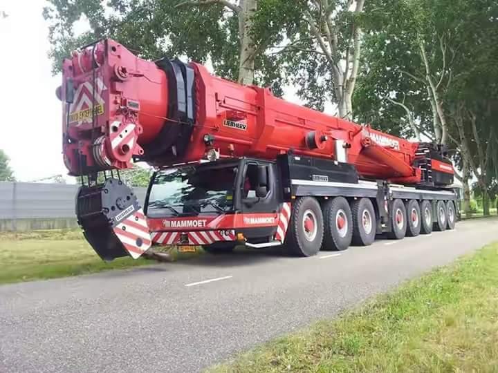 dimensional consignment