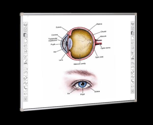 classroom interactive teaching