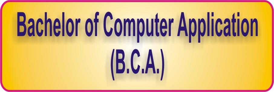 undergraduate programme