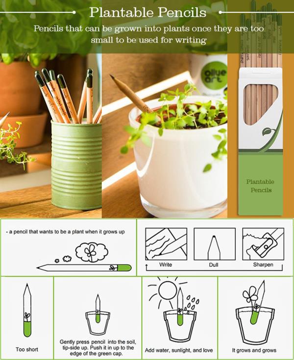 Leading suppliers of Plantable Pencils.
It's the little things that citizens do. That's what will make the difference.Our little thing is planting trees. What's yours?
A small initiative from our side. Grow a plant and save the world.
Giftt Hub introduces The plantable pencils. Use the pencil, once it's too small plant it on the pot and see your own plant grow.
For bulk queries and many such innovative concepts write to us @ hello@giftthub.com