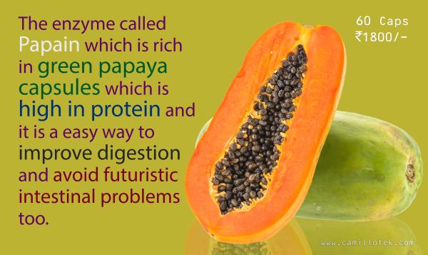 The enzyme called Papain which is rich in green papaya capsules which is high in protein and it is a easy way to improve digestion and avoid futuristic intestinal problems too.
Papaya leaf extract tablets, papaya fruit extract tablets, Antioxidant tablets, papaya digestion tablets, papaya for skin care, papaya helps in constipation, papaya immunity tablets and papaya for intestinal worms.
Carica papaya leaf extract tablets manufacturers, carica papaya leaf extract tablets suppliers, carica papaya leaf extract tablets exporters, wholesalers and traders in Chennai, India.
