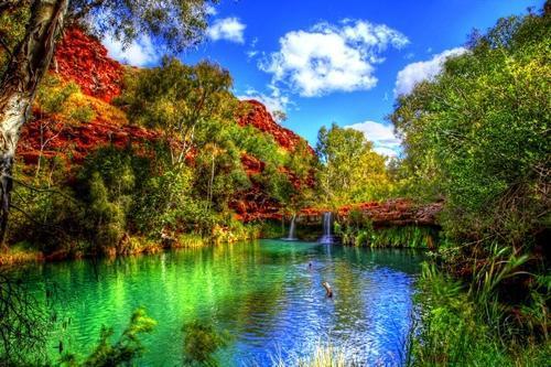 scenery printing services