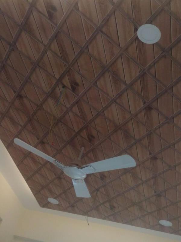 false ceiling