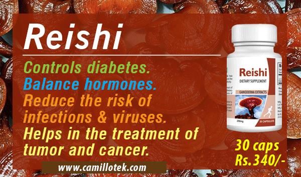 Reishi controls diabetes, reishi balance hormones, reishi reduce the risk of infections and viruses and effectively reishi in the treatment of tumor and cancer.
Reishi ganoderma tablets, reishi ganoderma pills and reishi ganoderma supplements.
Reishi ganoderma tablets manufacturers, Reishi ganoderma tablets suppliers, Reishi ganoderma tablets exporters wholesalers, traders in Chennai, India.