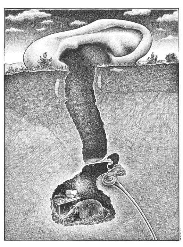 let hearing loss distract