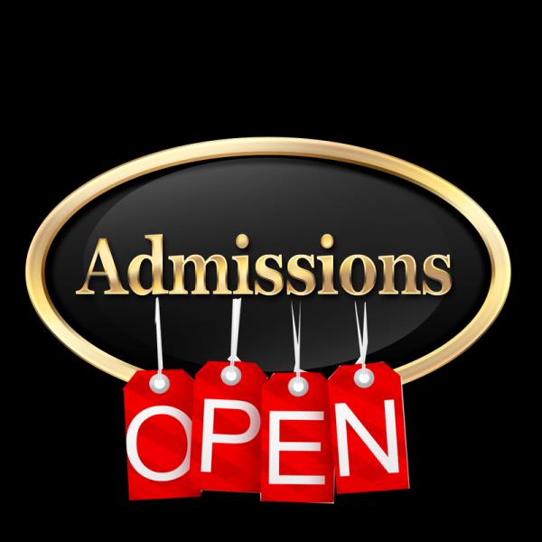 XI + XII + CA / CS Founda