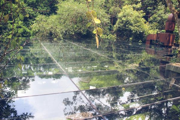 glass canopy designed