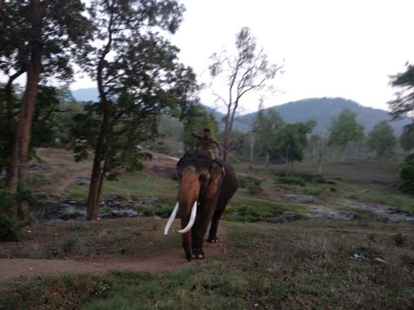 hour journey