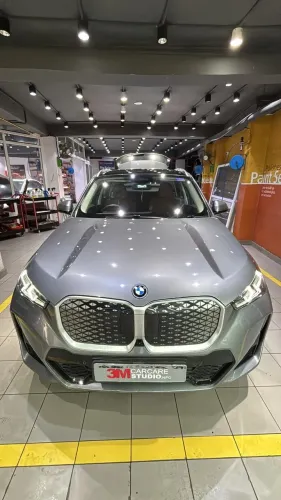 professional paint protection 