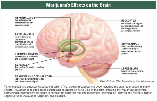 cannabis deaddiction