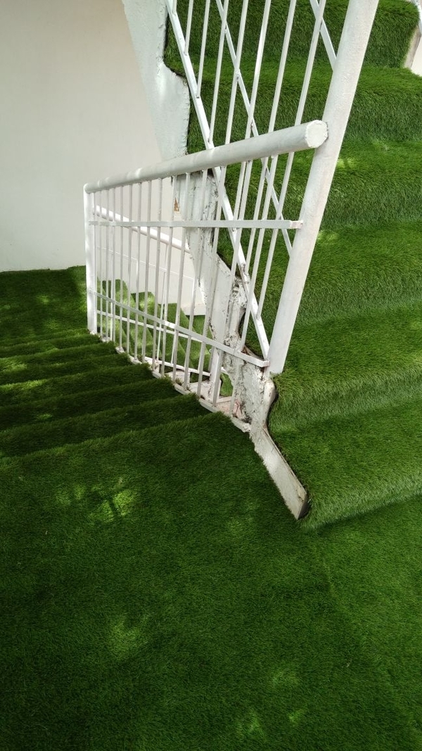 vertical garden
