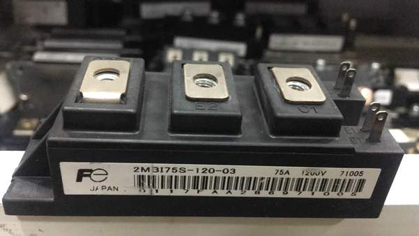 module fuji japan
