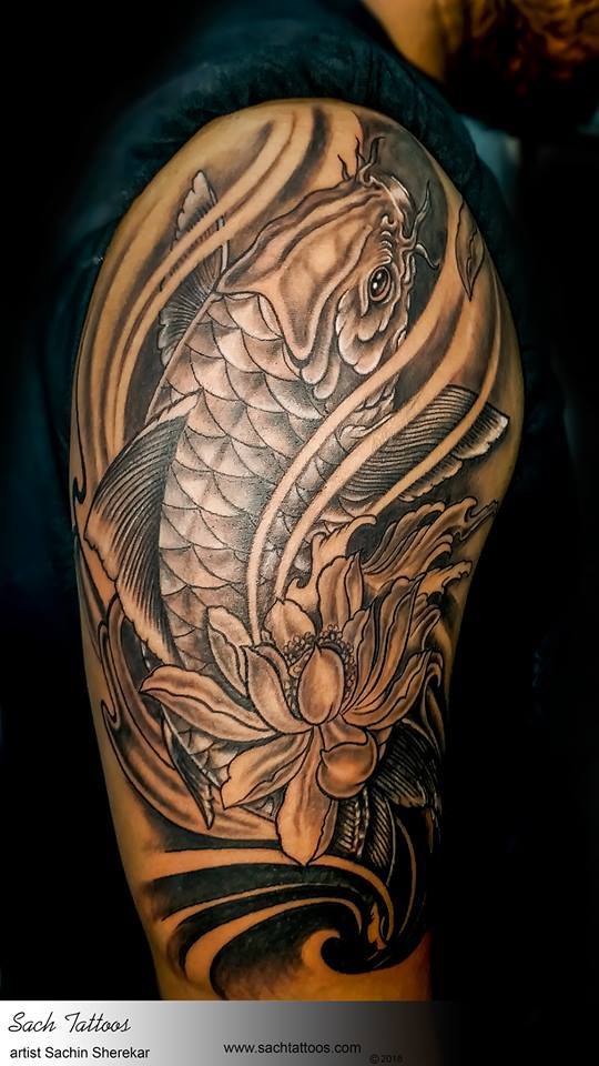 agile fish