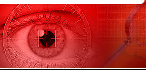 best lady detective agency in
