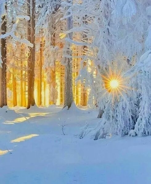 toprated restaurants picture