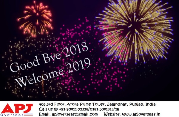 NEW YEAR 2019 WISHES TO A