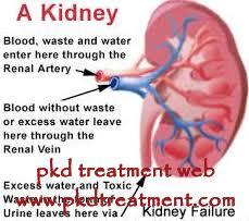 blood urea nitrogen
