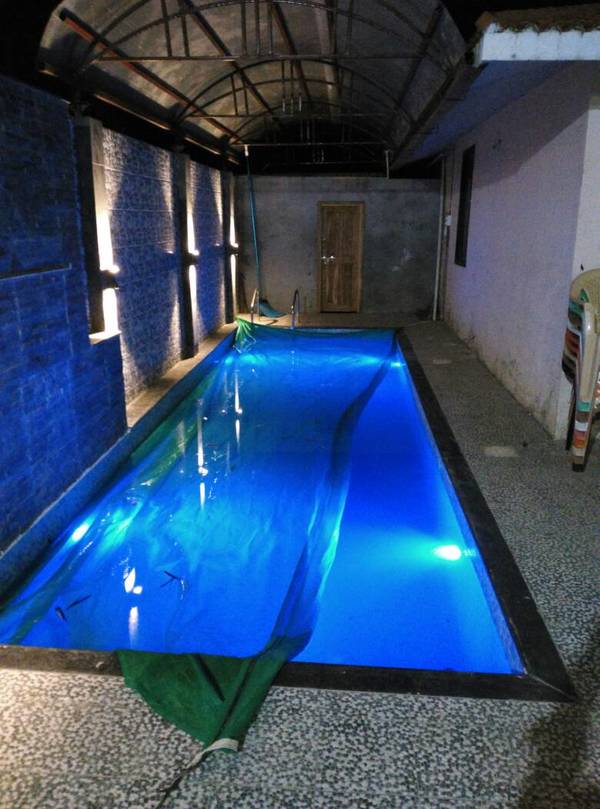 professional pool design and p