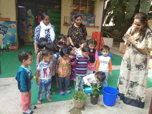 plants activity