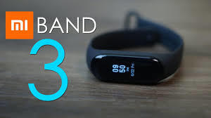 sonata smart band