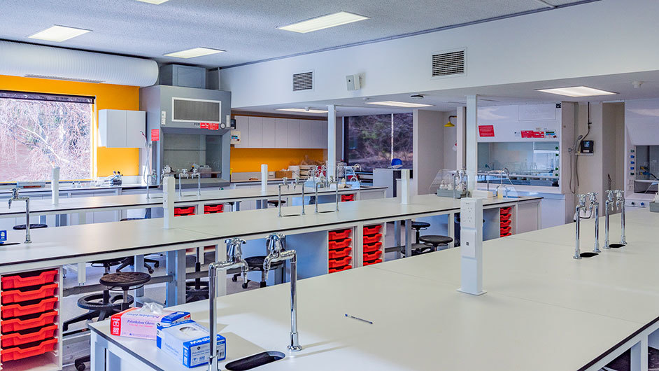 final lab setup