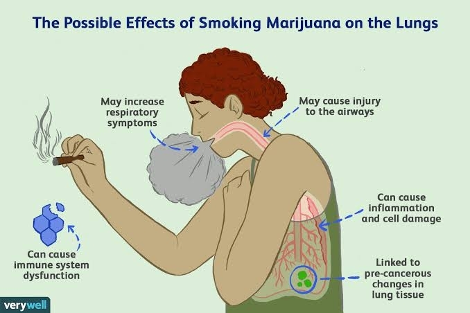 endocannabinoids