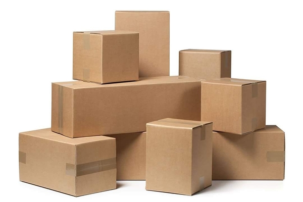 aminjikarai domestic courier