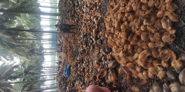 update image