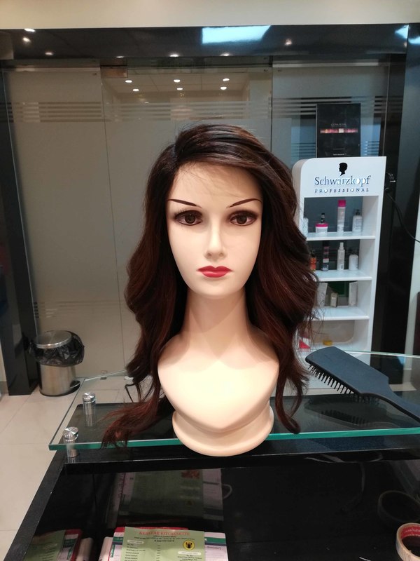 Hair Wigs in Sector 28 Gurgaon -

Lynx H