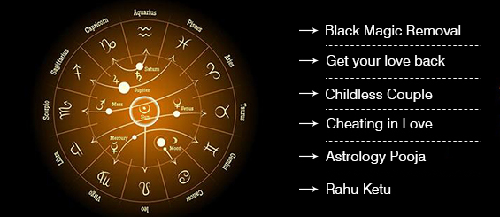 top astrologer