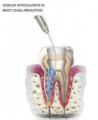 antiadhesion activity