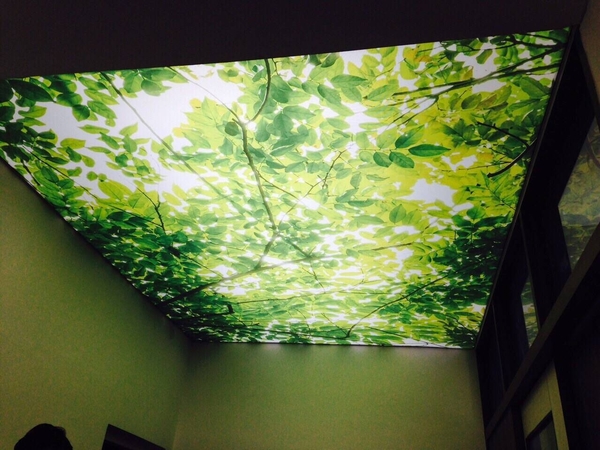 update image