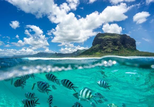 ile aux cerfs