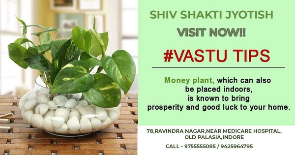 vastu tips