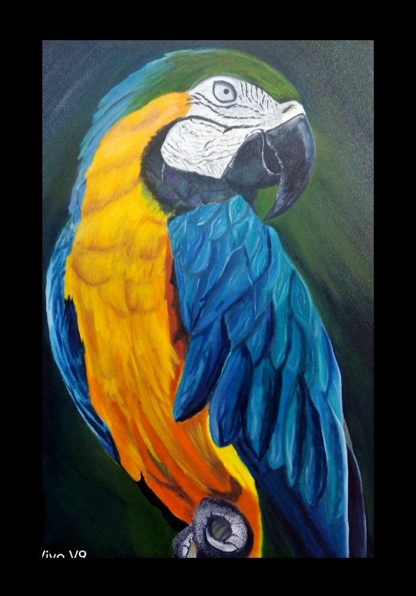 Oil On Can