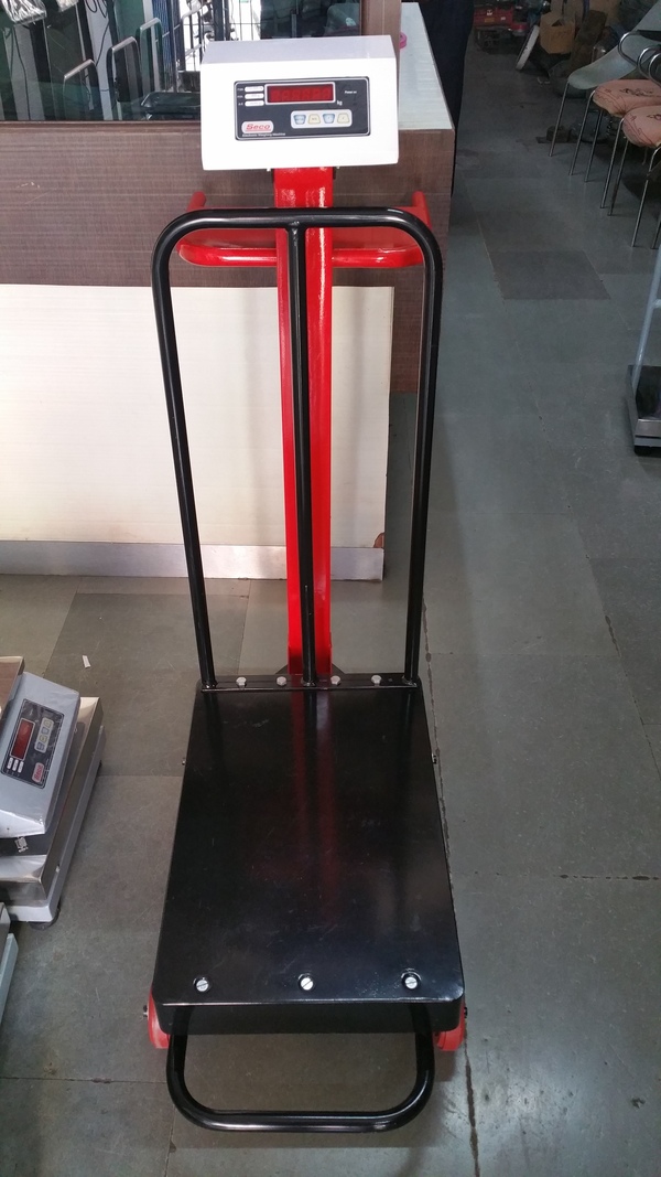 wp 300