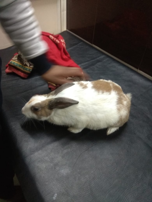 update image