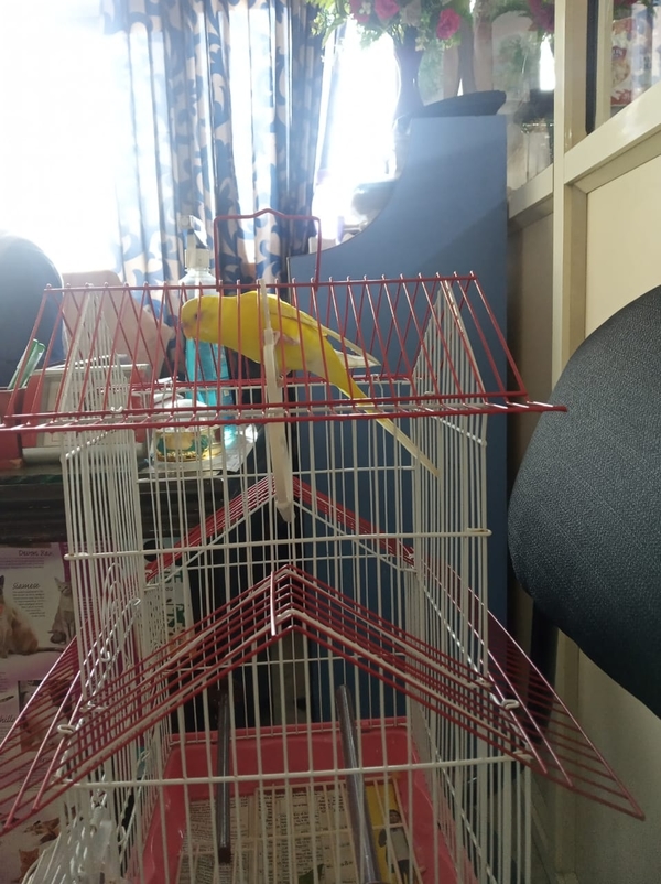 update image