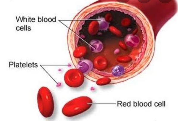 What Are Platelets?
At diagnos