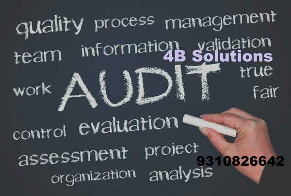 auditor