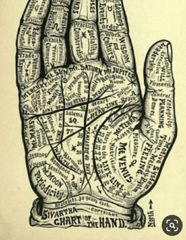 palm reader expert