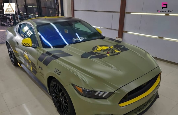 luxurious ford mustang protect