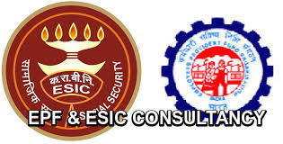 many professional services