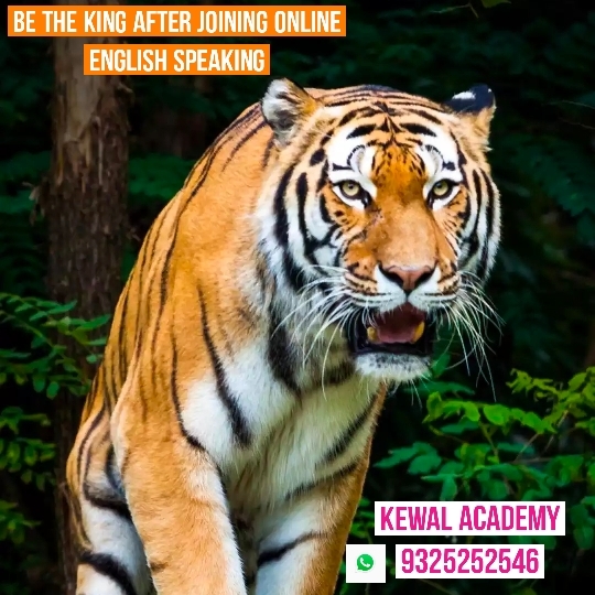 ONLINE ENGLISH SPEAKING C