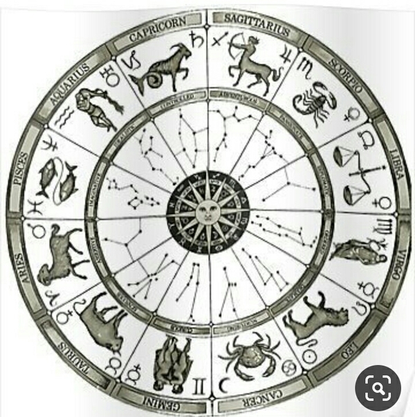 celebrity kp astrologer